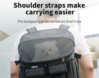 cesta-para-mascotas_003